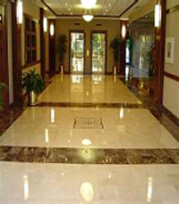 Hiring Professional Employees Hiring Professional Employees